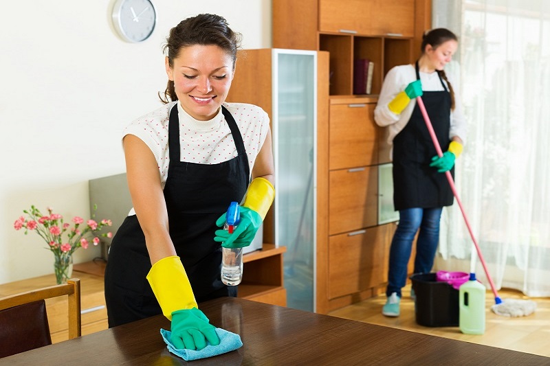 domestic spring cleaning services